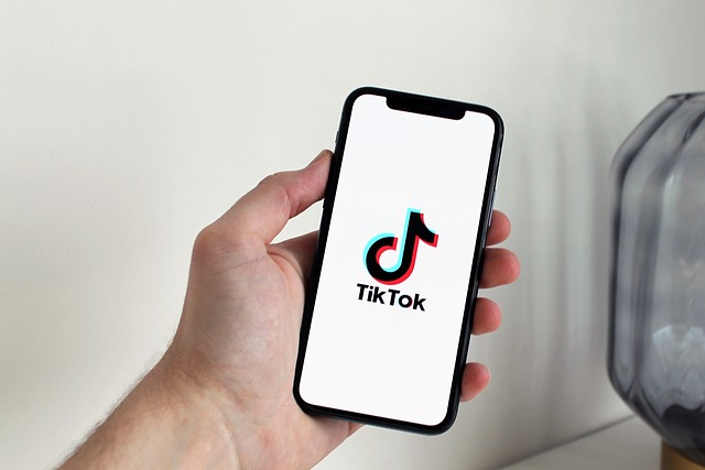 TikTokで採用マーケティング