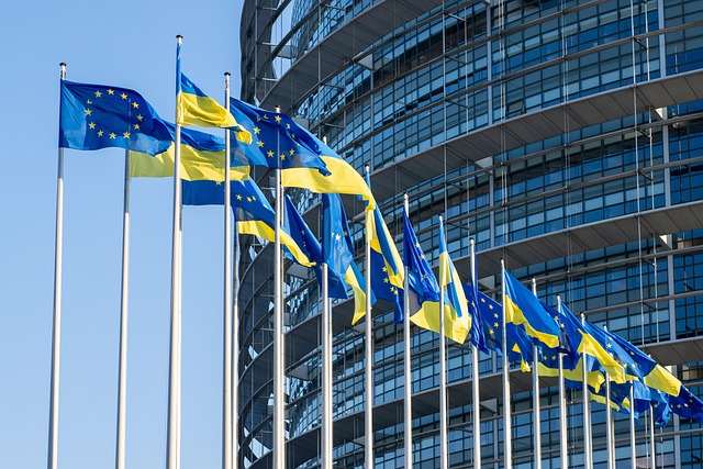 EUへの商標出願とは？制度の特徴やマドプロ出願との違いをプロが解説